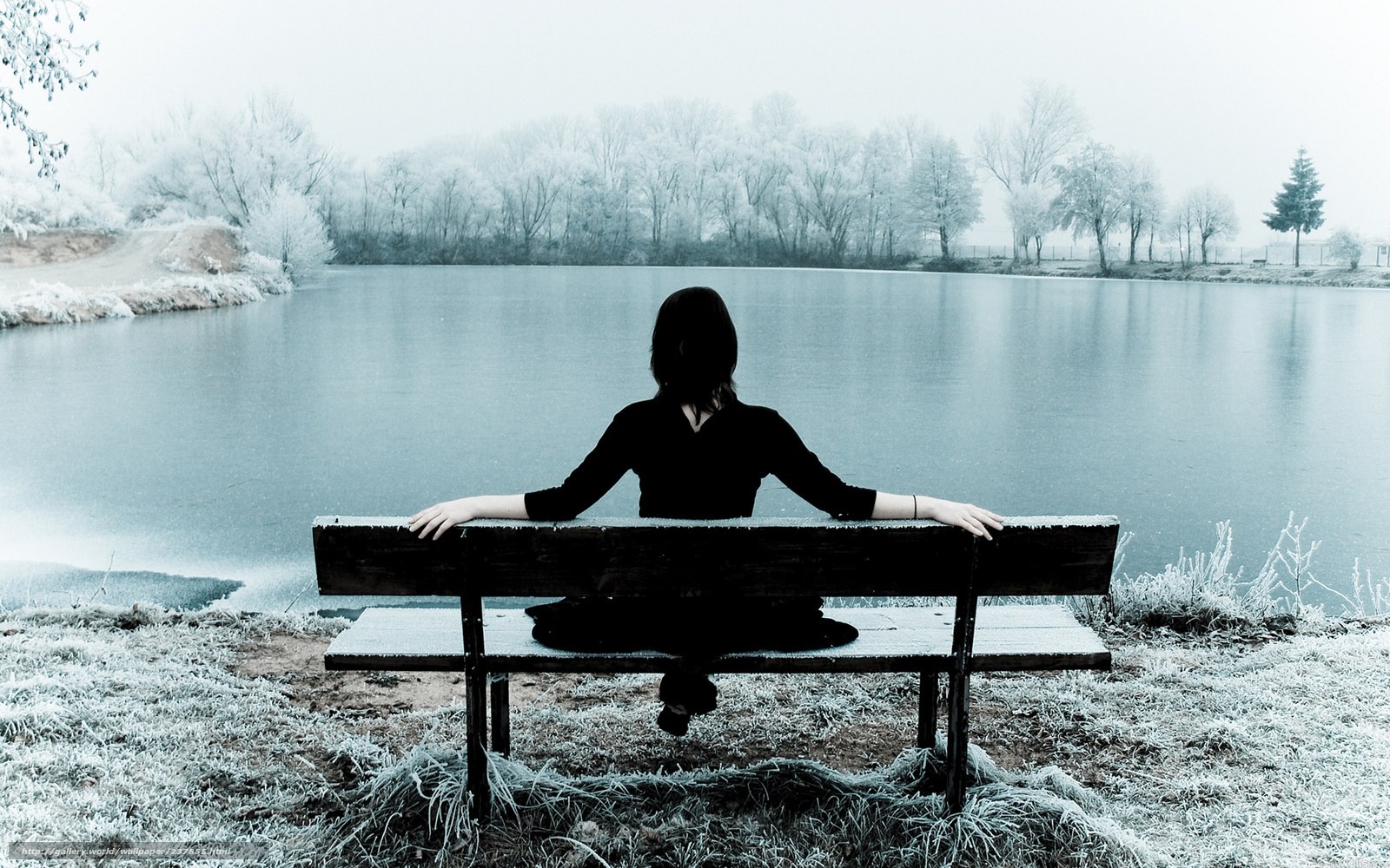 Person on bench by frozen lake