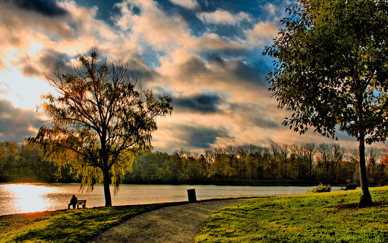 Person on Bench by Lake — Green