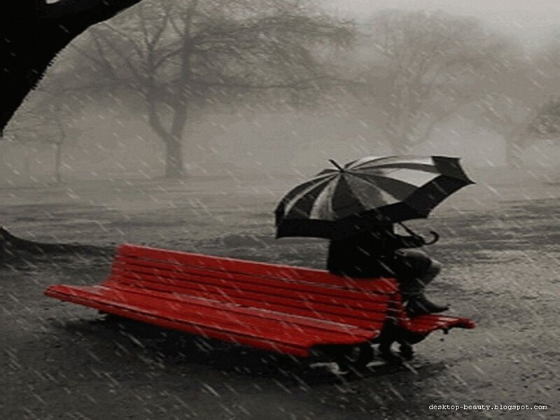 Person on Bench in Rain