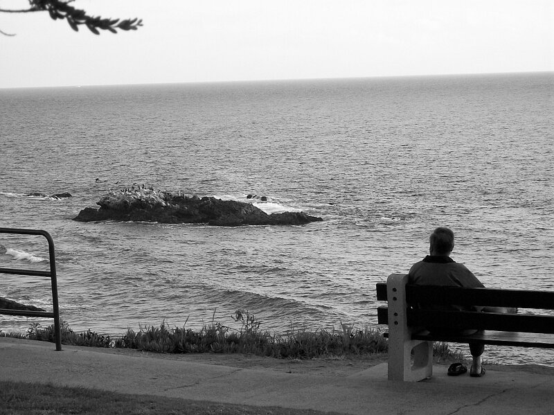 Person on bench overlooking ocean
