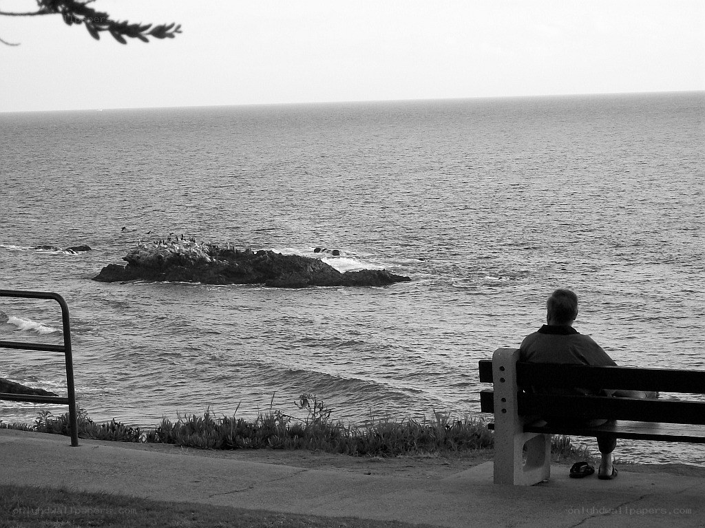 Person on bench overlooking ocean
