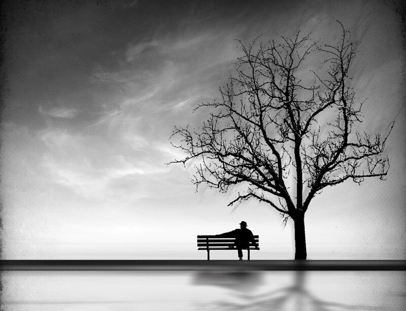 Person on Bench under Tree — Black