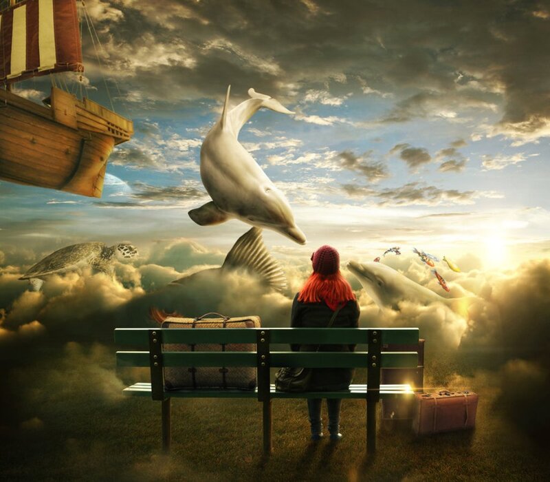 Person on Bench with Sea Creatures