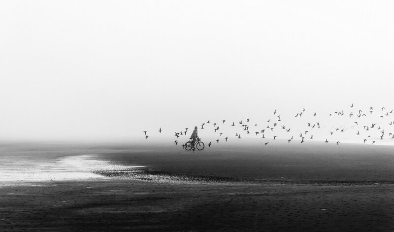 Person on Bicycle — Black, Serene