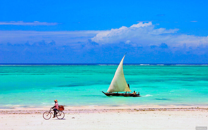 Person on Bicycle — Blue, Serene, Afternoon