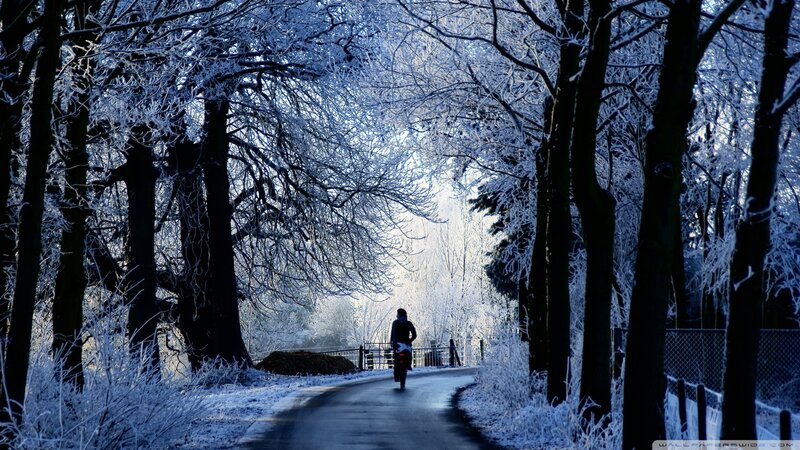 Person on Bicycle — Blue