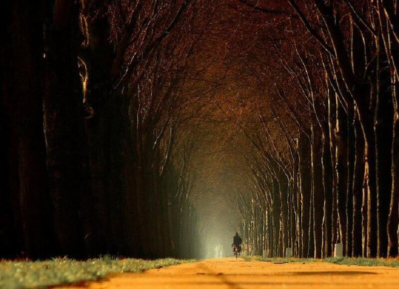 Person on Bicycle — Brown