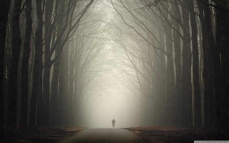 Person on Bicycle — Gray, Misty
