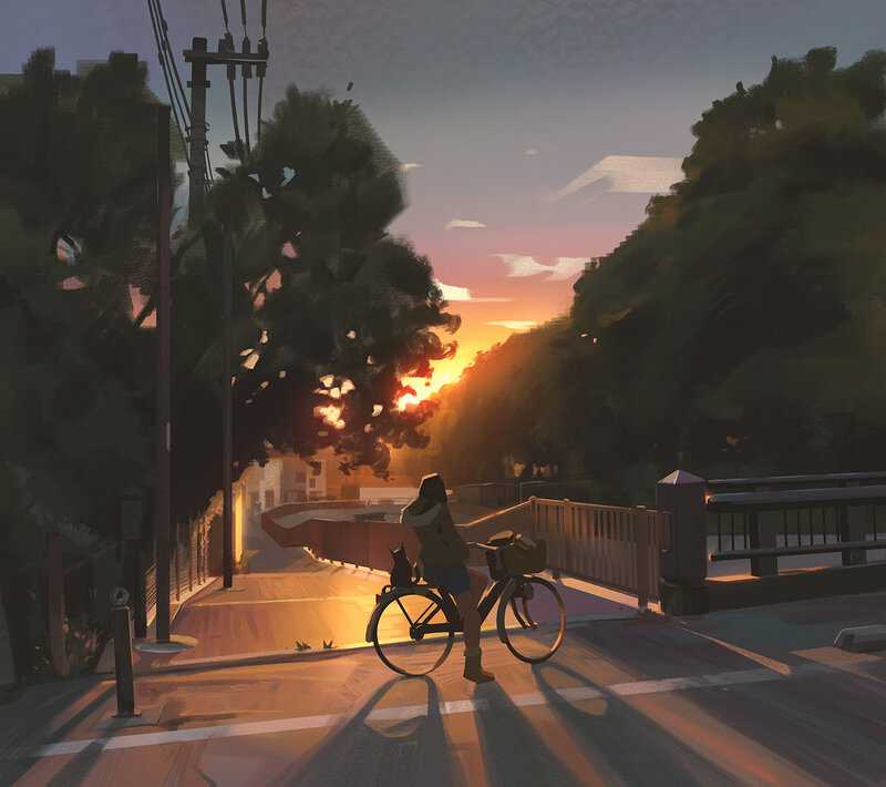 Person on Bicycle with Cat
