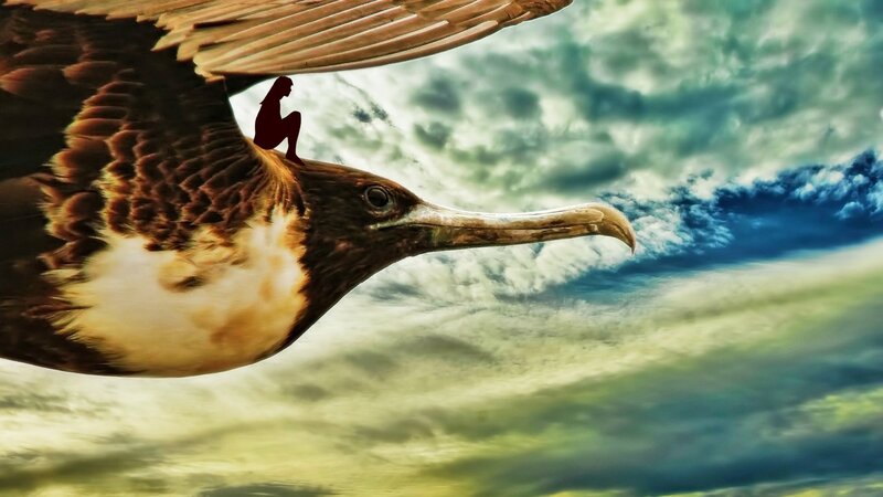 Person on Bird's Back