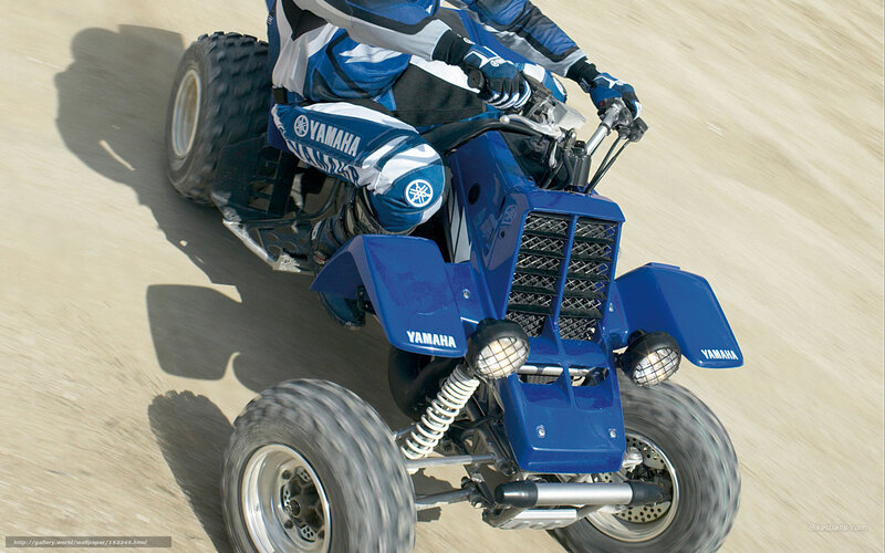 Person on Blue ATV — Dynamic, Afternoon