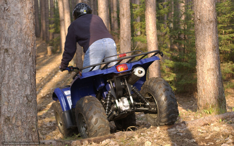 Person on Blue ATV — Outdoor