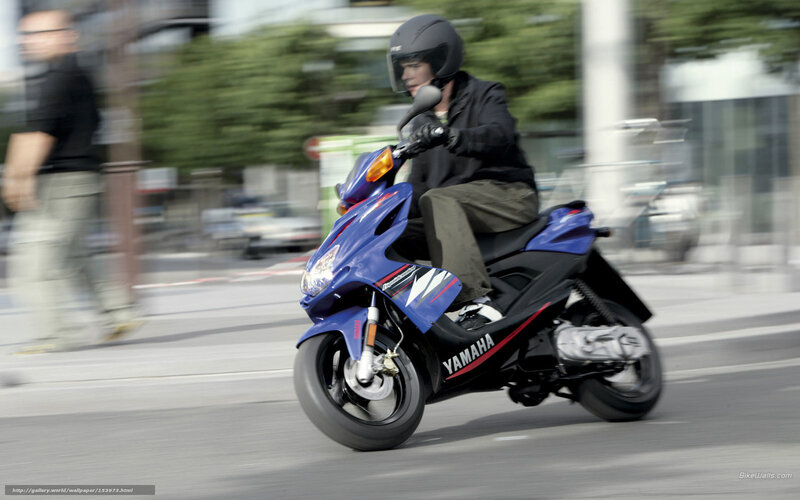Person on Blue Scooter — Dynamic
