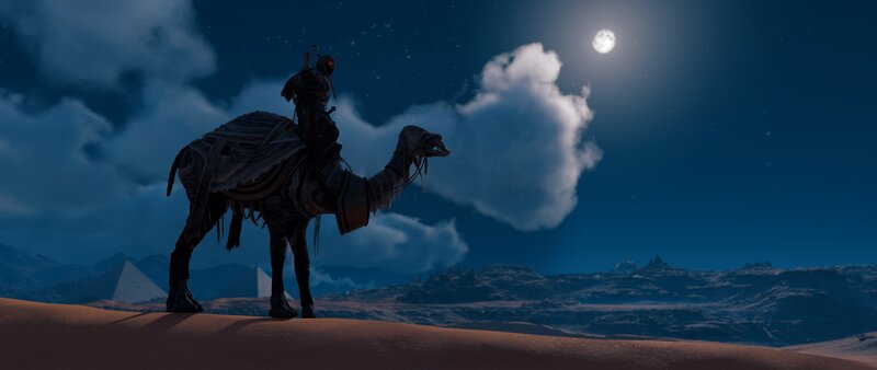 Person on Camel at Night