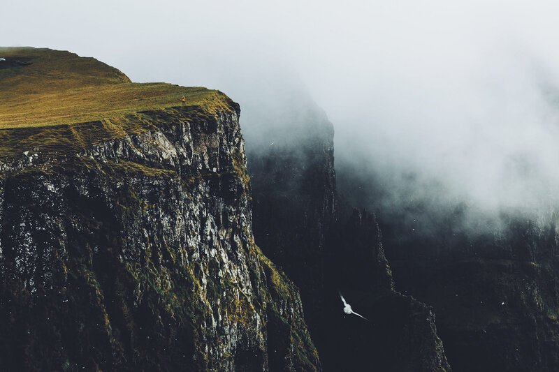 Person on Cliff Edge — Green, Dramatic, Photograph, Bird