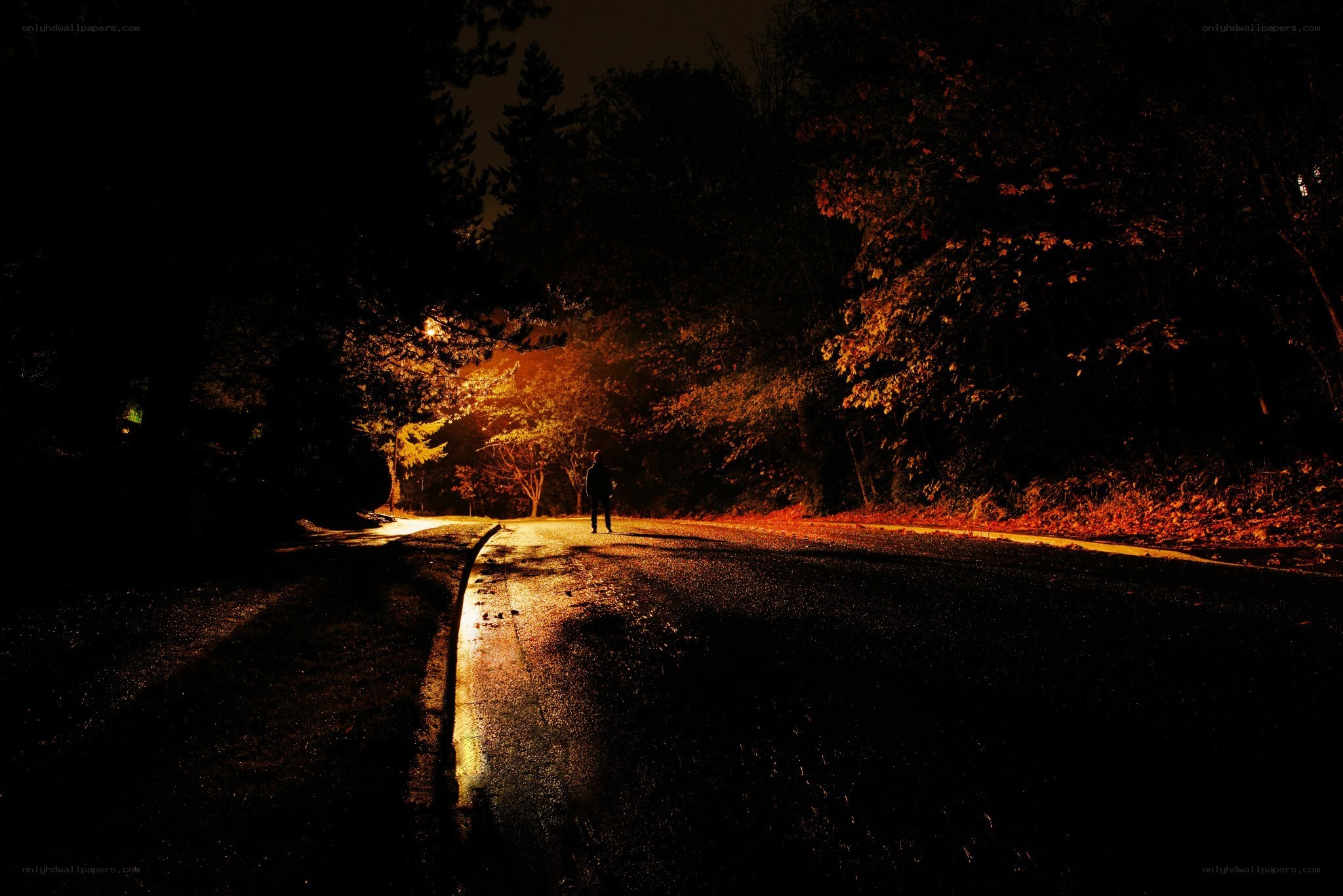 person on dark road at night