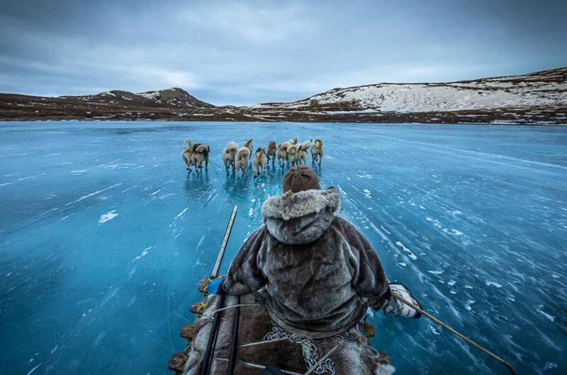 Person on Dog Sled