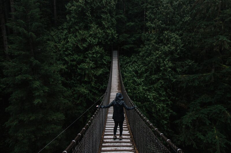 Person on forest bridge