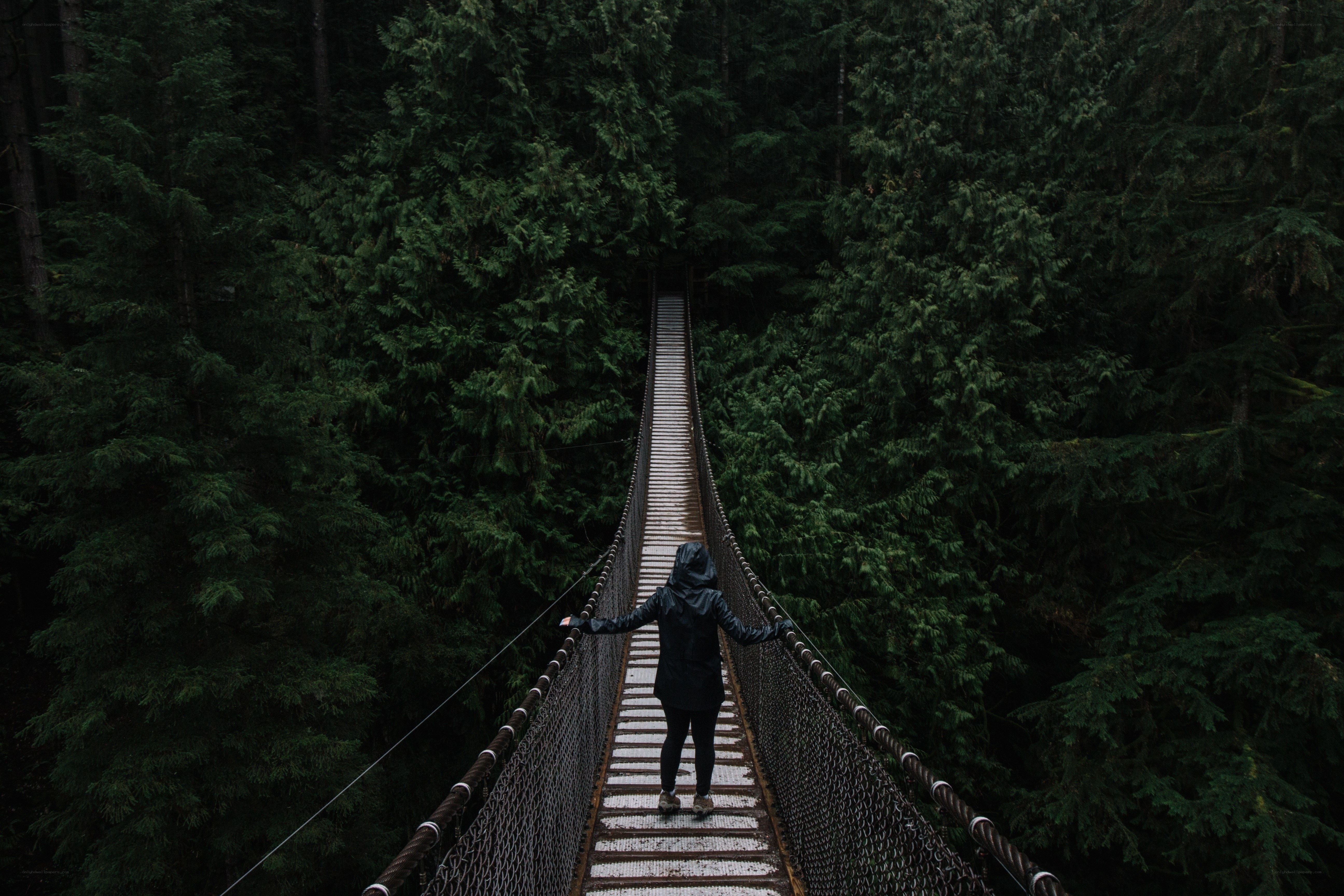 Person on forest bridge