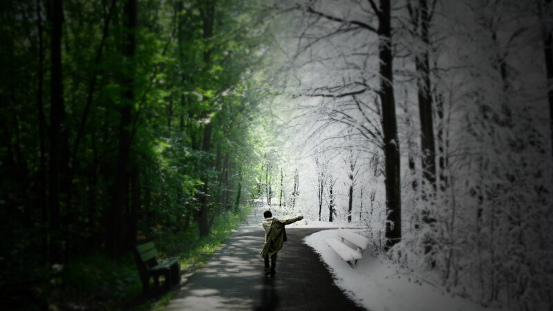 Person on Forest Path — Green