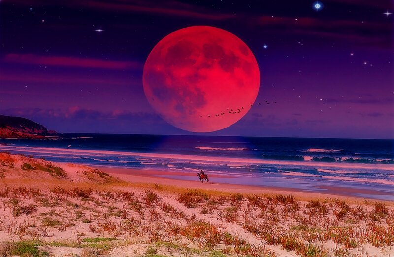 Person on Horse at Beach — Red