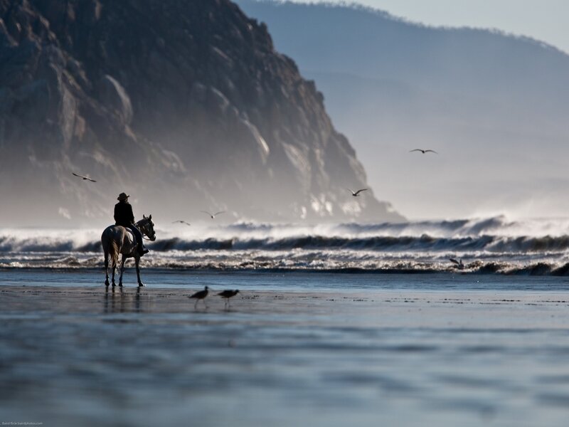 Person on Horse at Beach
