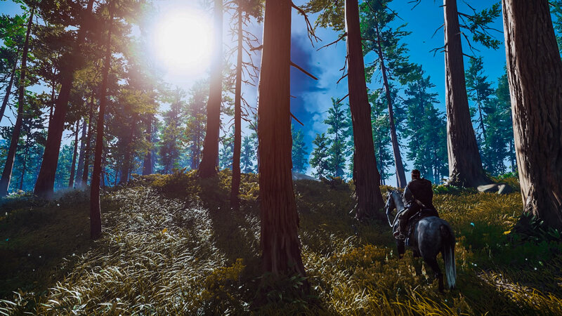 Person on Horse in Forest — Green, Serene, Afternoon