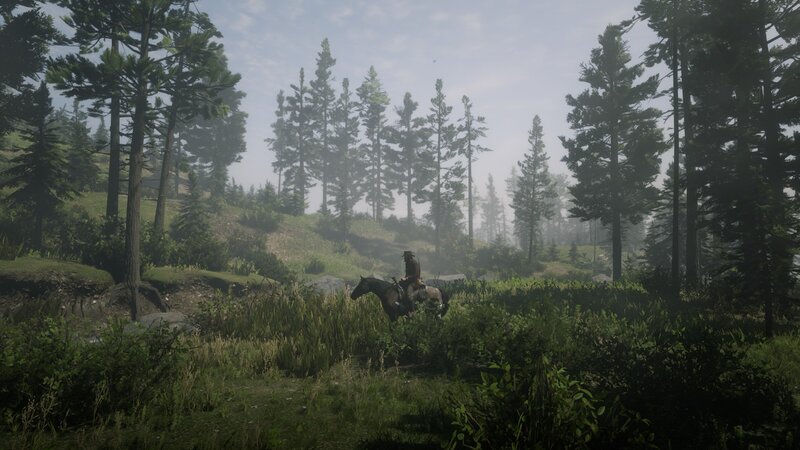 Person on Horse in Forest — Green, Serene, Morning, 3d Render, Hills