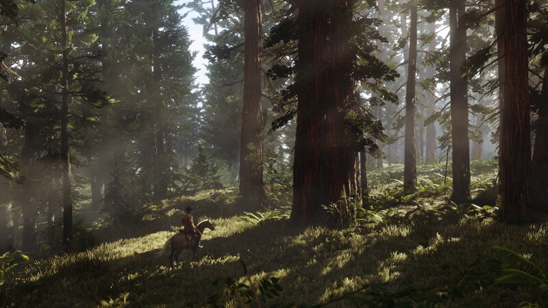 Person on Horse in Forest — Green, Serene, Morning