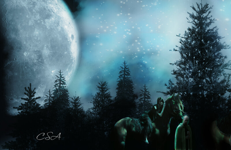 Person on Horse in Forest