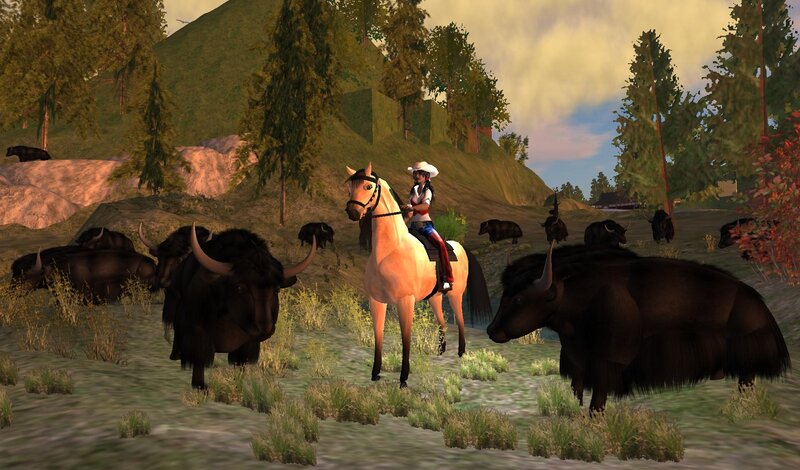 Person on Horse with Bison