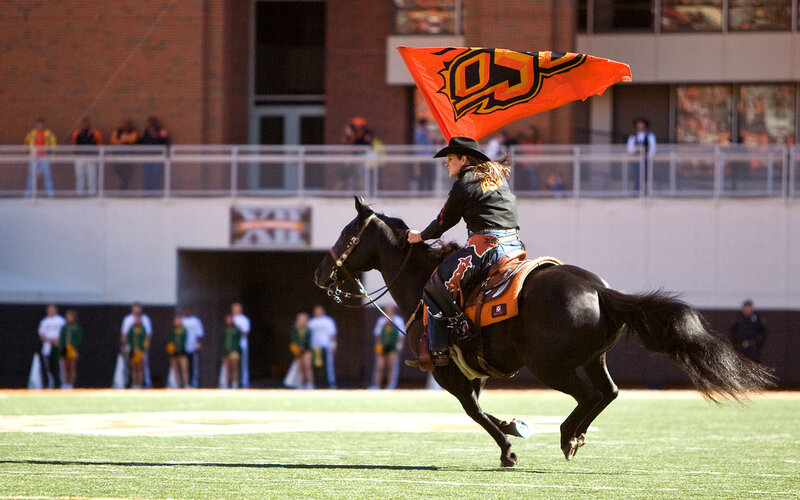 Person on Horse with Flag