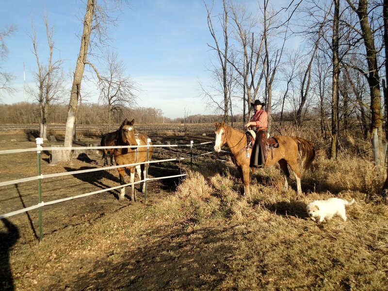 Person on Horseback — Brown, Calm