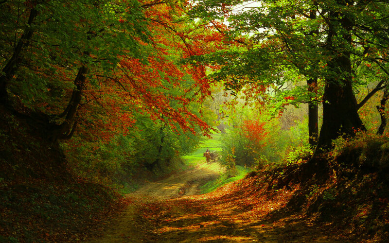 Person on Horseback — Green, Serene