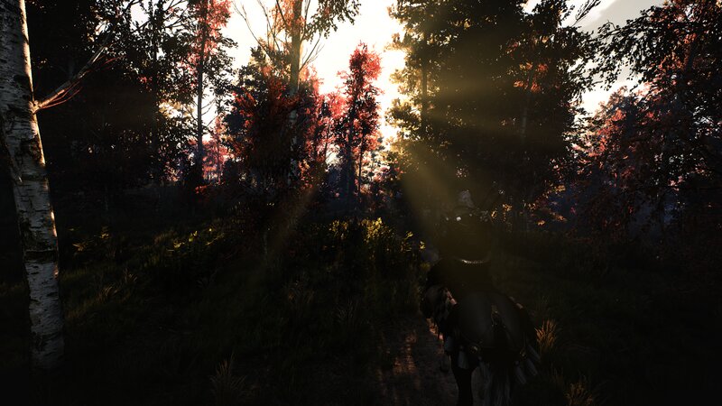 Person on Horseback in Forest — Green