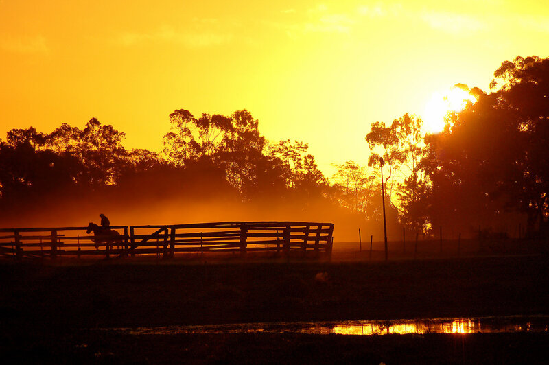 Person on Horseback — Orange