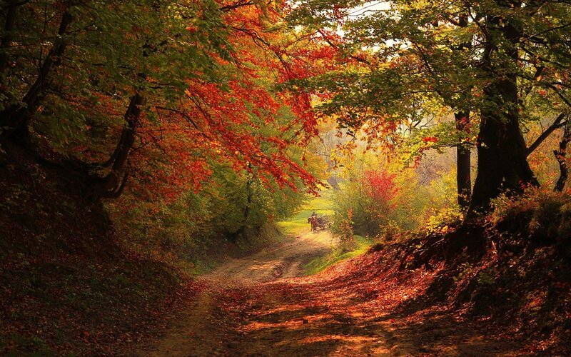 Person on Horseback — Red, Serene, Autumn, Photograph