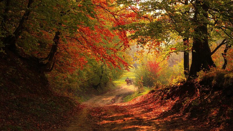 Person on Horseback — Red, Serene, Autumn