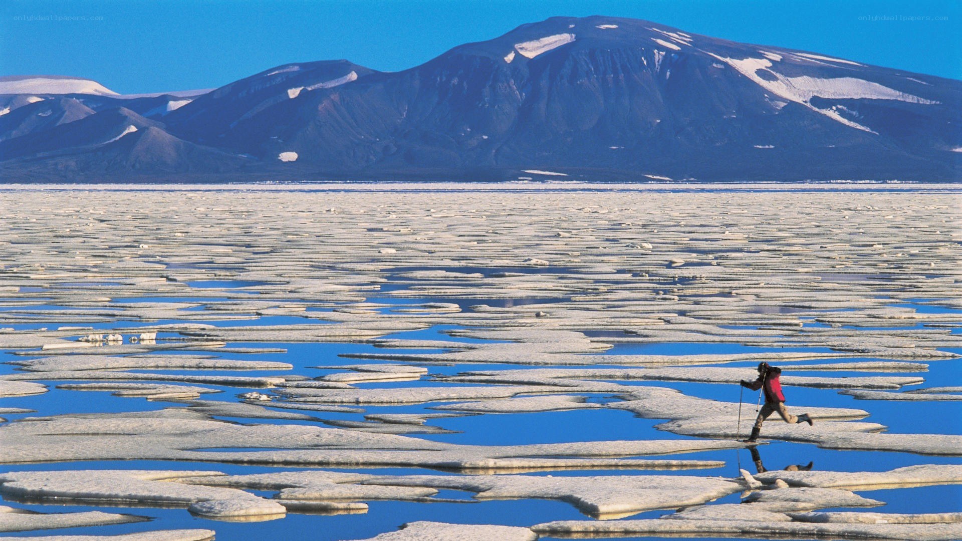 person on ice floes