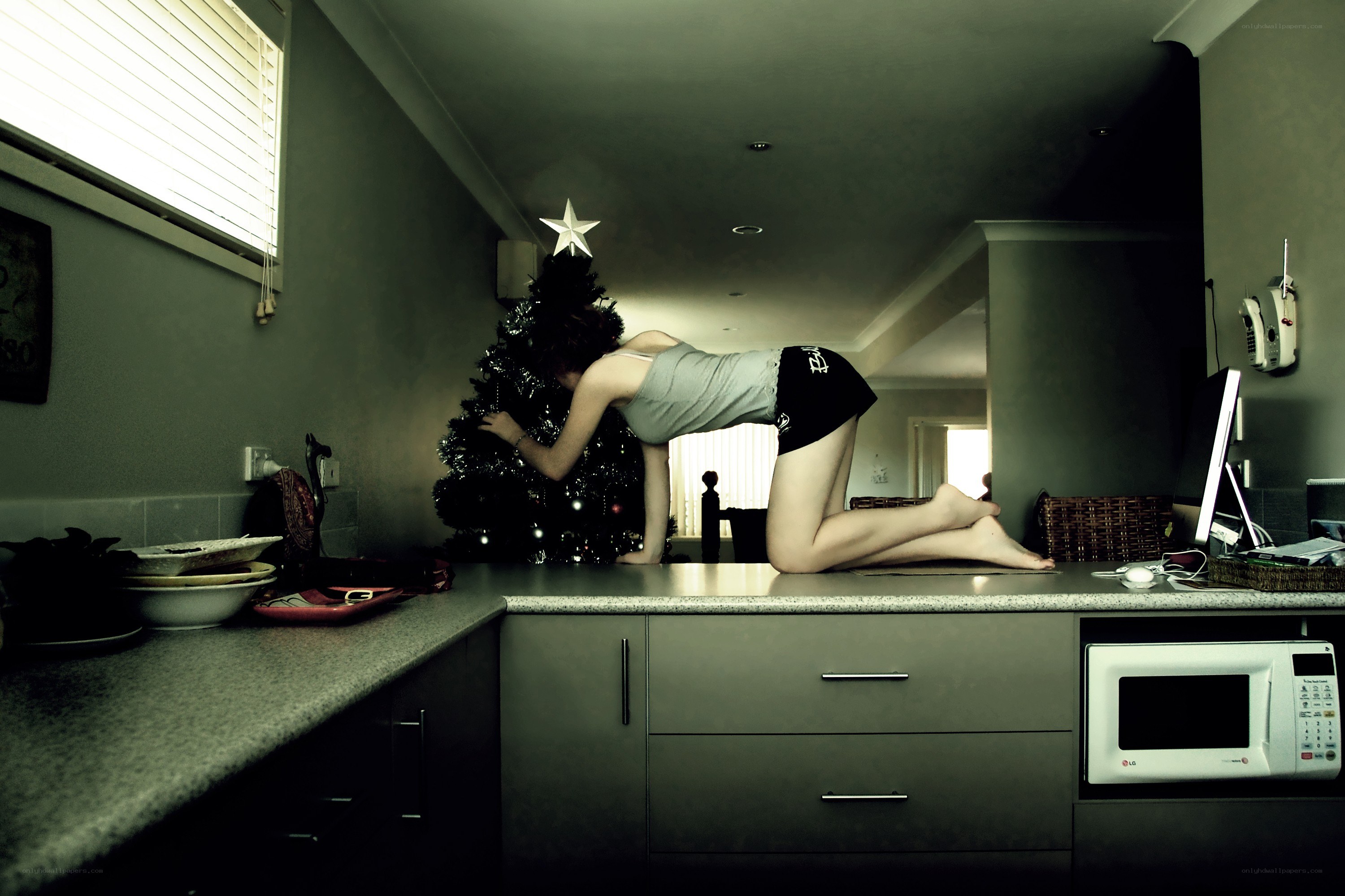 Person on kitchen counter near tree