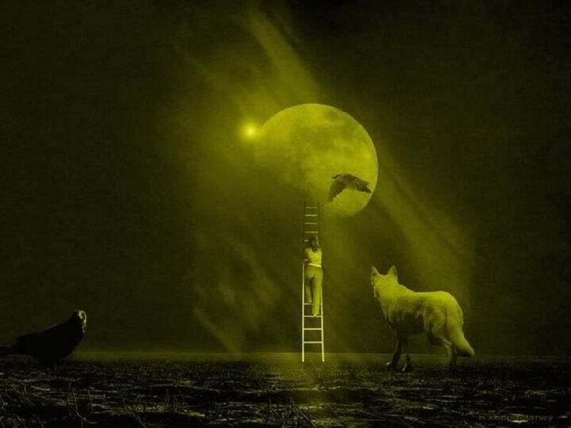 Person on Ladder Reaching Moon — Yellow
