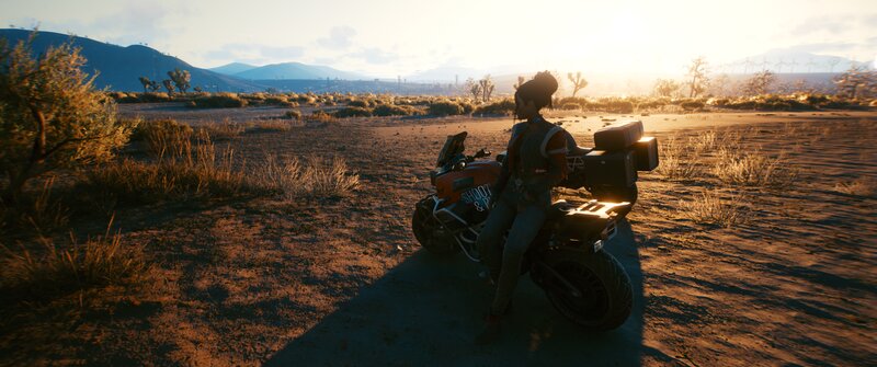 Person on Motorcycle — Brown, Serene, Sunset
