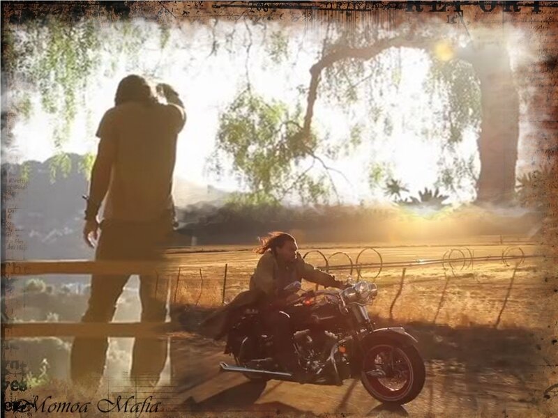 Person on Motorcycle — Brown