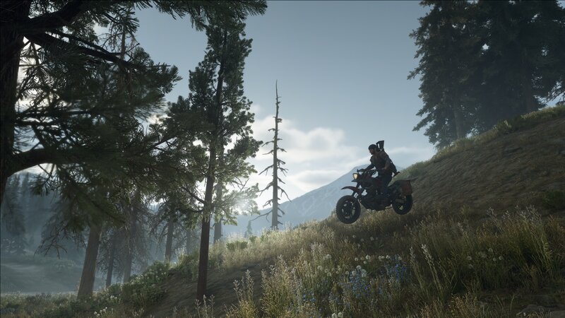Person on Motorcycle — Green, Serene