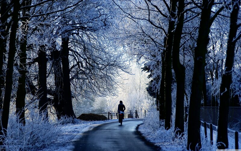 Person on motorcycle in snowy forest