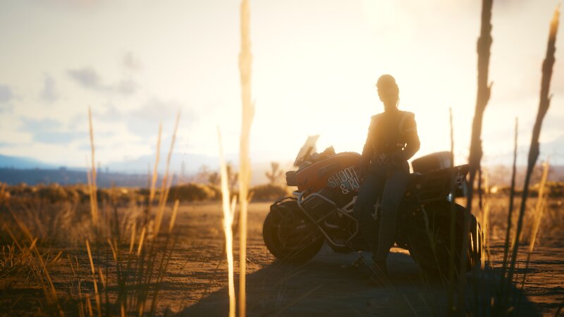 Person on Motorcycle — Orange, Serene, Sunset, 3d Render, Grass