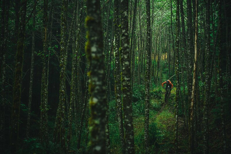 Person on Mountain Bike — Green