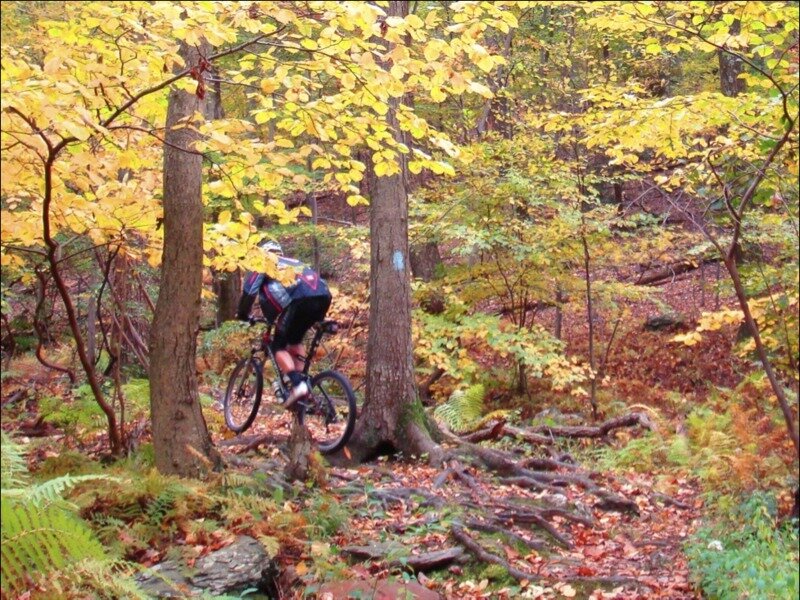 Person on Mountain Bike