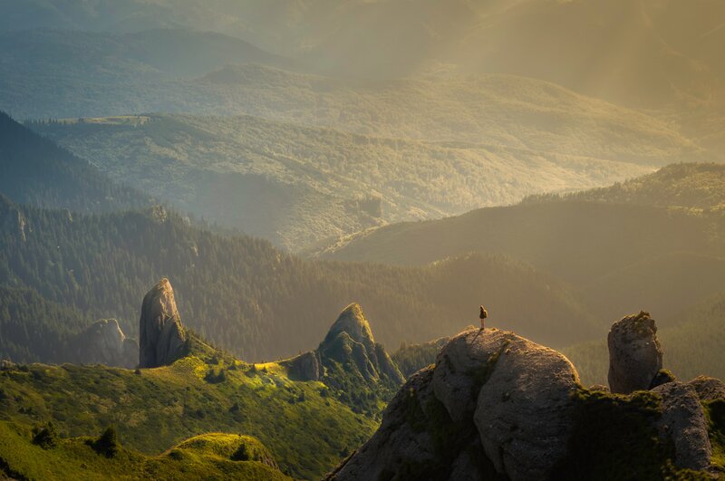Person on Mountain Peak — Green, Serene, Morning, Photograph, Forest