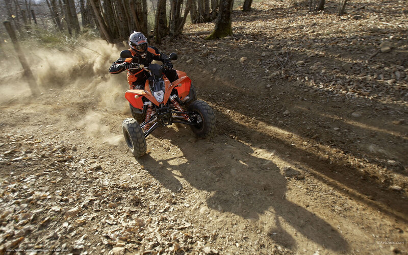 Person on Orange ATV — Dynamic, Afternoon